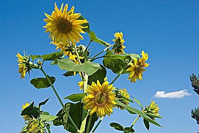 《堡垒之夜》第二章第八赛季故事预告片 战斗通行证“屠杀”登场